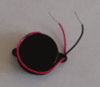 The Buzzer